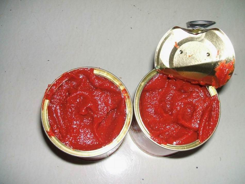  Canned Tomato Paste (Dosen Tomatenmark)