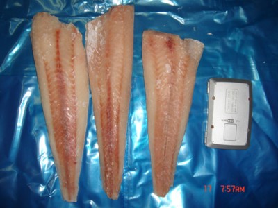  Frozen Hake Fillet