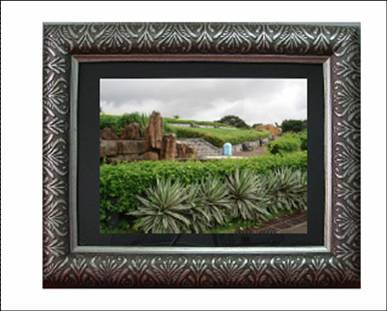  7 Digital Photo Frame (7 Digital Photo Frame)