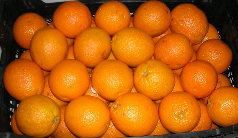  Orange From Turkey