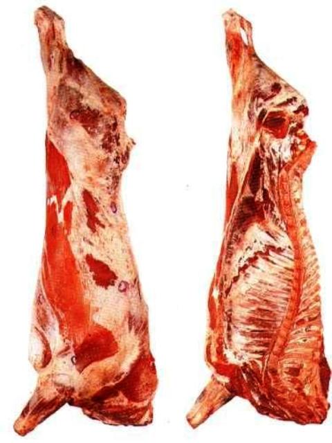  Beef From South America (Говядина из Южной Америки)