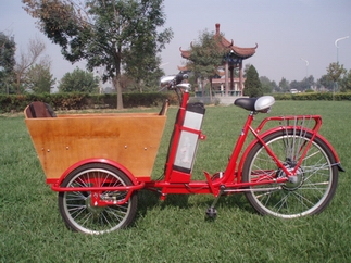  Electric Tricycle (Tricycle électrique)