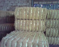  Coconut Fibre