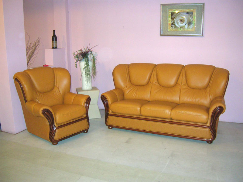  Leather Sofa (Ledercouch)