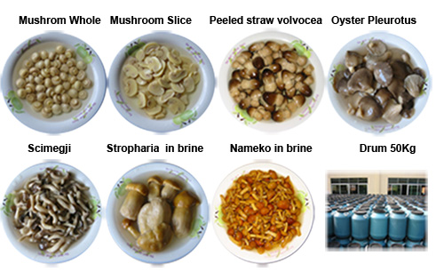  Mushroom In Brine (Champignons en saumure)