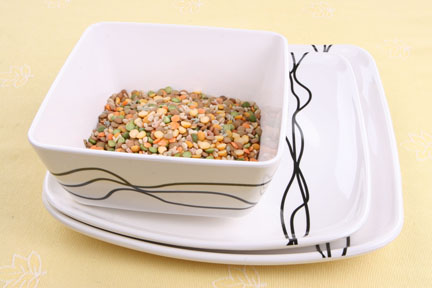  Melamine Dinnerware (Vaisselle mélamine)