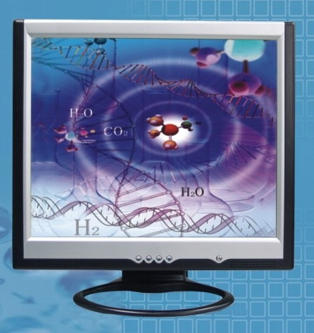  17 LCD Monitor (17 ЖК-монитор)