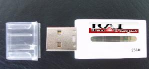  2gb Usb Flash Disk