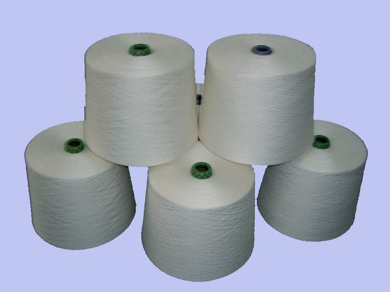  Viscose Spun Yarn (Viscose filés)