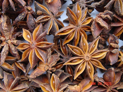  Star Aniseed (Звезда Anis d)