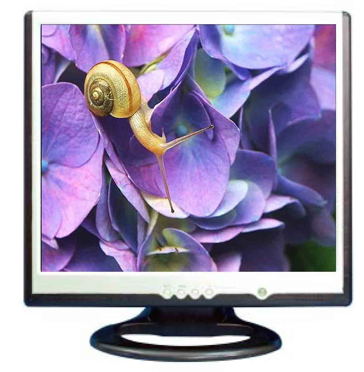  17 LCD CCTV Monitor (17 LCD Moniteur CCTV)