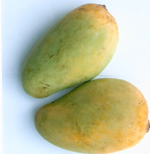  Mango-cukalan (Манго-cukalan)