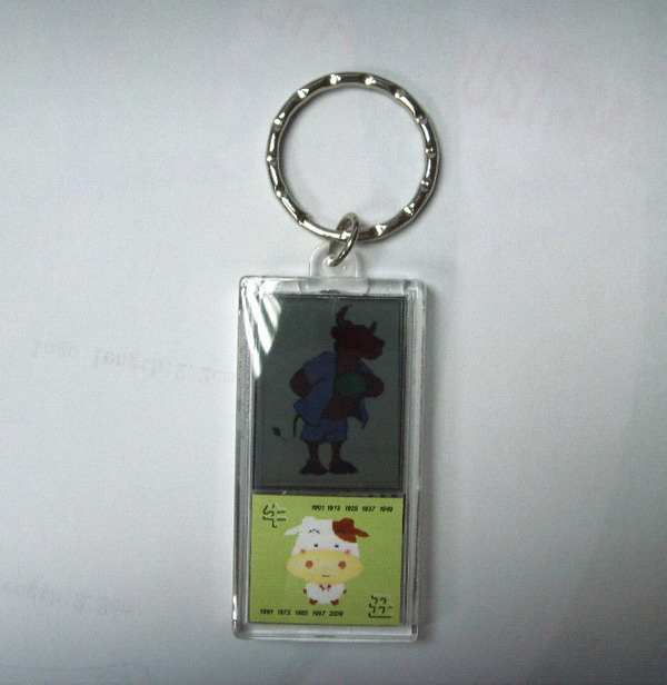  Solar Energy Key Chain (L`énergie solaire Key Chain)