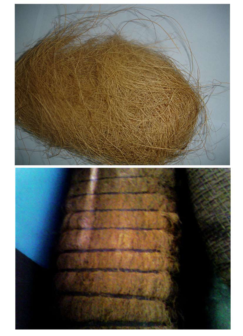  Coconut Fiber, Palm Fiber (Кокосовое волокно, Palm Fiber)