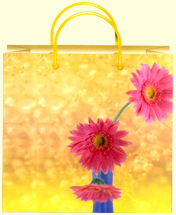  Flower Gift Bag (Цветочный подарок сумку)