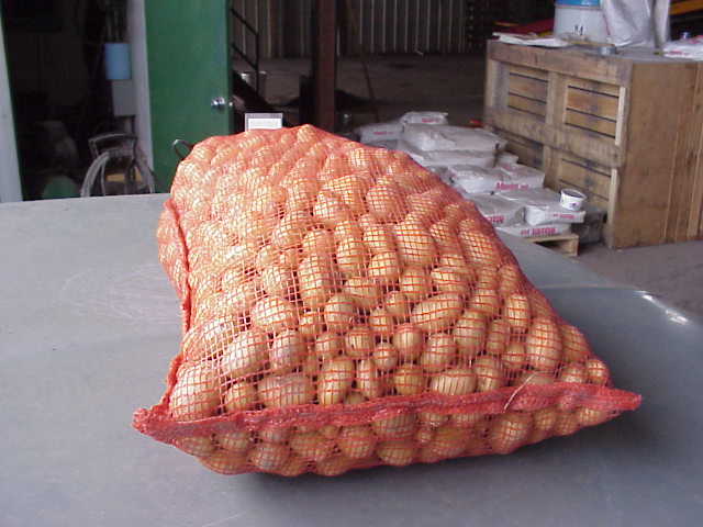  Seed Potato (Semences de pommes de terre)