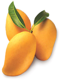  Mango Carabao Puree (Carabao Mango-Püree)