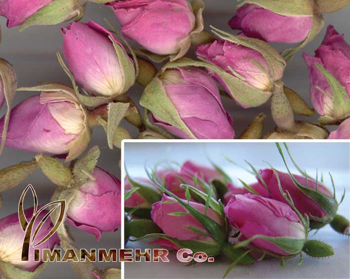  Dried Pink Rose Buds (Les bourgeons de roses séchés)