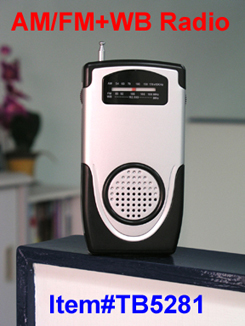 Dynamo AM / FM Radio + Wb (Dynamo AM / FM Radio + Wb)