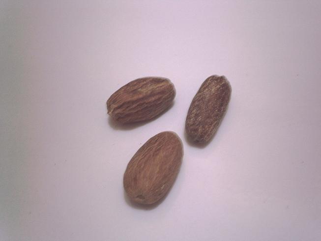  Nutmeg (Мускатный орех)