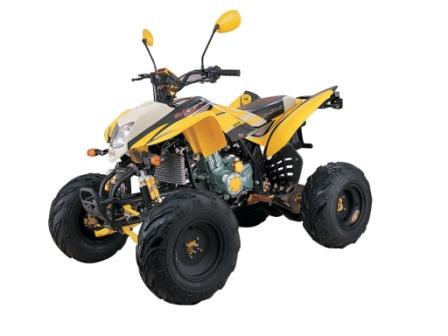  200cc Water Cooled ATV Street Legal (200cc refroidi à l`eau VTT Street Legal)