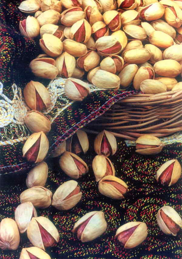  Pistachio (Pistache)