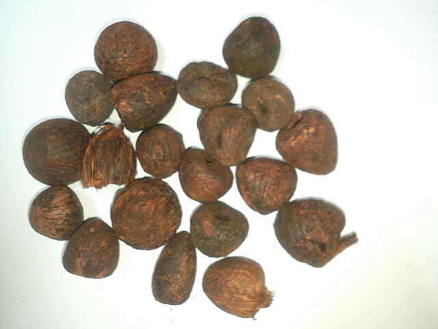  Betel Nut B2 Grade ( Betel Nut B2 Grade)