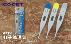 Digital-Thermometer (Digital-Thermometer)