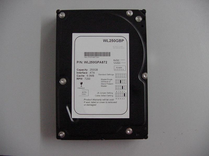 Western Digital 250 GB IDE-Festplatte (Western Digital 250 GB IDE-Festplatte)