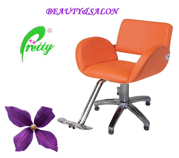  Beauty Chair ( Beauty Chair)