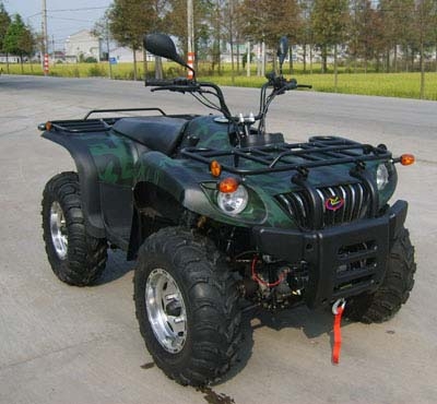  650 ATV ( 650 ATV)