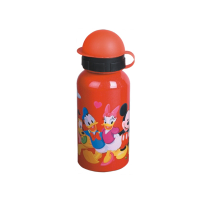  Aluminium Sport Bottle (Bouteille en aluminium Sport)