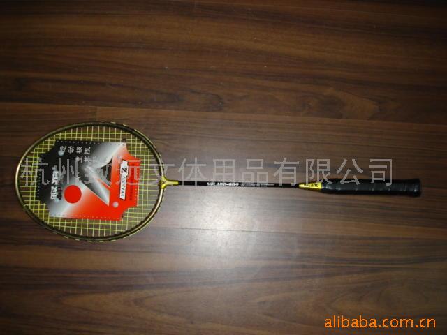 Badminton Racket (Badminton Racket)