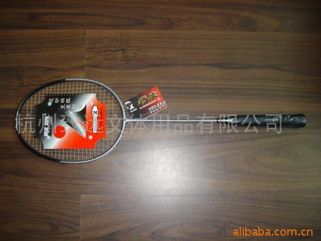 Badminton Racket (Badminton Racket)