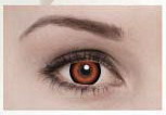 Cosmetic Contact Lens (Косметические контактные линзы)