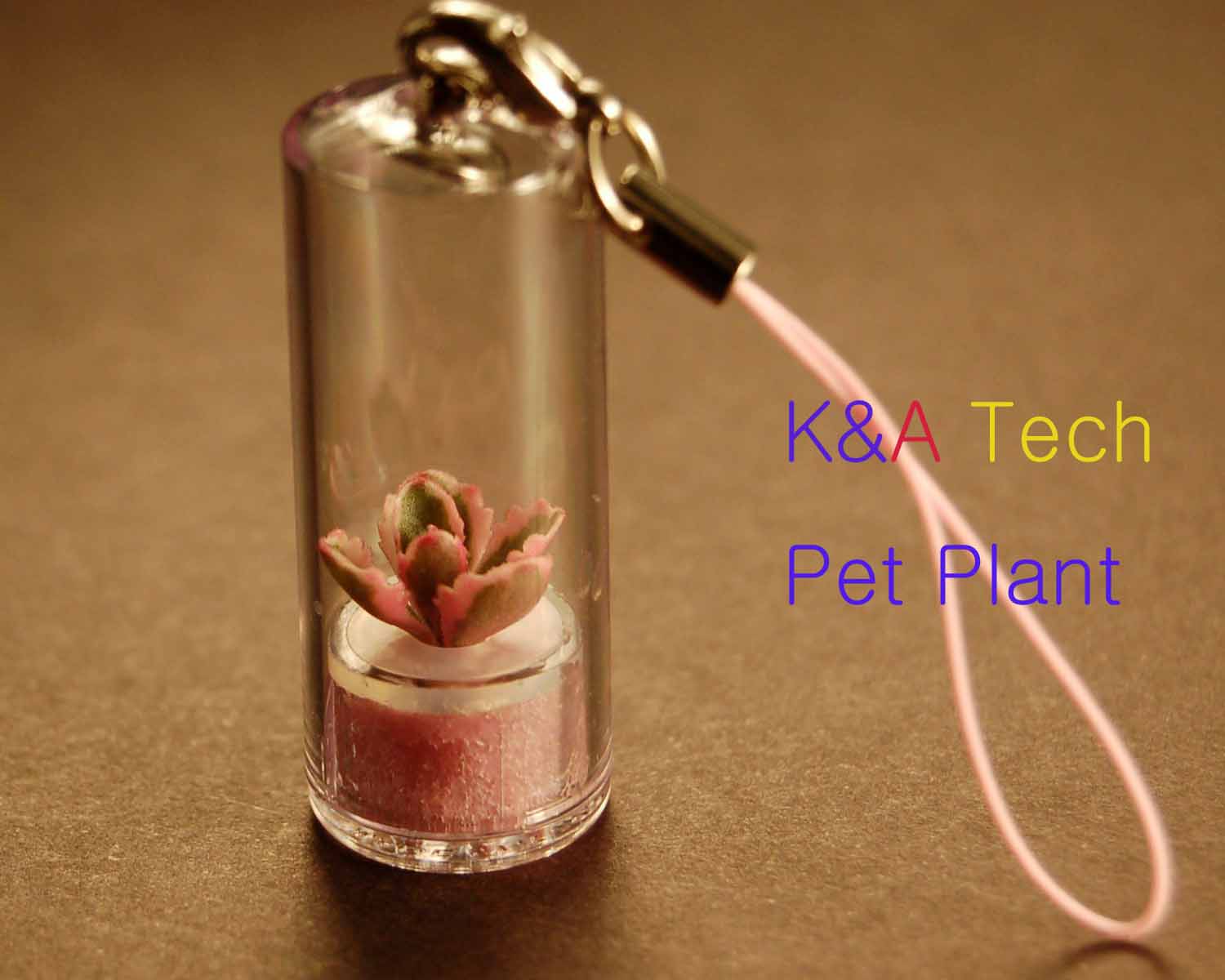  Pet Plant (Pet завода)