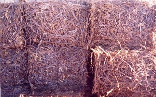 Azerbaijan Origin Licorice Roots (Азербайджанского происхождения корни солодки)