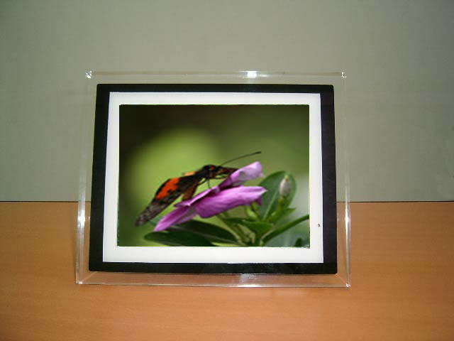  Digital Photo Frame ( Digital Photo Frame)