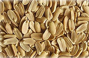  Roasted Peanuts (Geröstete Erdnüsse)