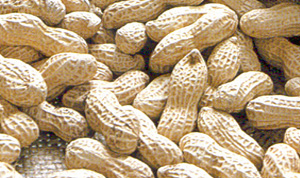  Peanuts In Shell (Les arachides en coque)