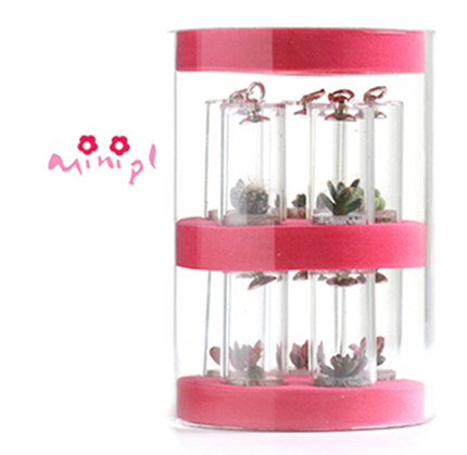  Minipl 10set, Pet Plant ( Minipl 10set, Pet Plant)