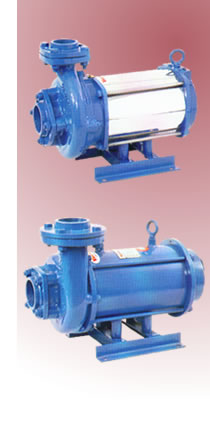 Horizontal Mono Block Submersible Pump Sets (Horizontal Mono Bloc Pompe submersible Sets)