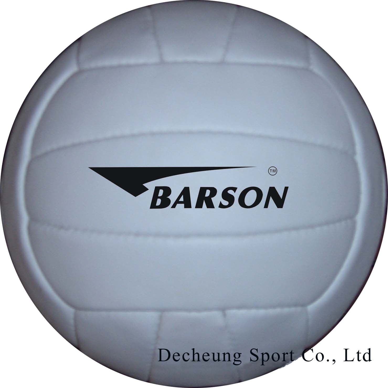  Genuine Leather Beach Volleyball (Genuine Leather Beach Volleyball)