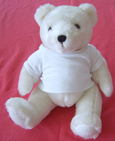 All Kinds Of Teddy mit T-Shirt (All Kinds Of Teddy mit T-Shirt)