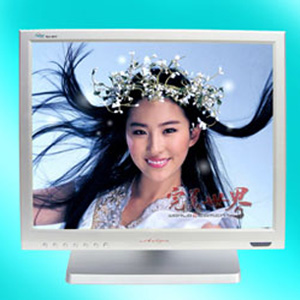  17 LCD TV Monitor (17 LCD TV Monitor)