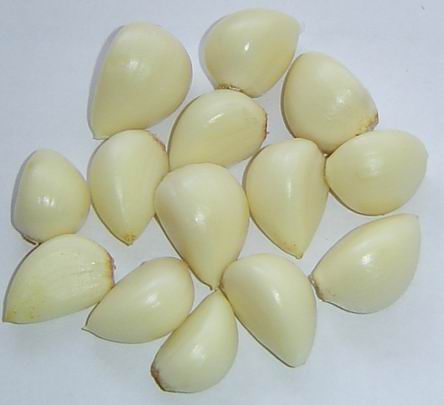 Frische Bio-Knoblauch (Frische Bio-Knoblauch)