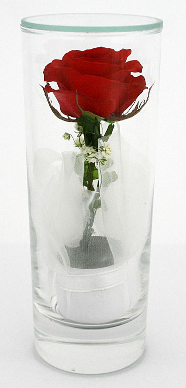  Preserve-Dried Flower In Glassware (Заповедник-В сухих цветов, изделия из стекла)