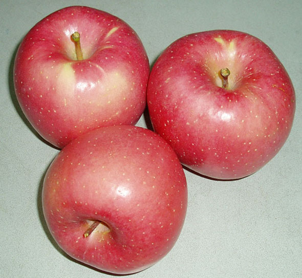  Apple (Яблоко)