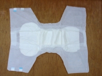 Adult Diaper With Elastic Waistband