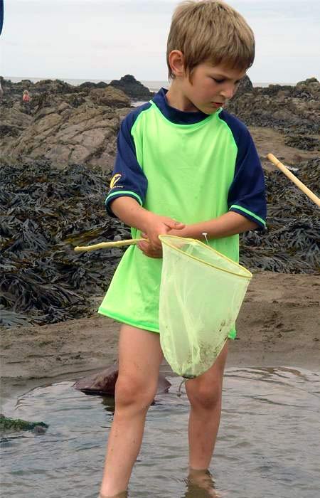  Lycra Shirt, UV T-Shirt-Lime & Navy, Rash Guard (Лайкра рубашка, УФ-T-Shirt-Lime & ВМС, сыпь гвардия)